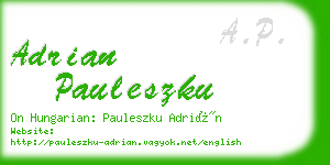 adrian pauleszku business card